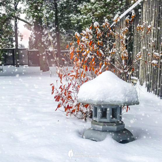 РЕКОНСТРУКЦИЯ  БОТАНИЧЕСКОГО САДА